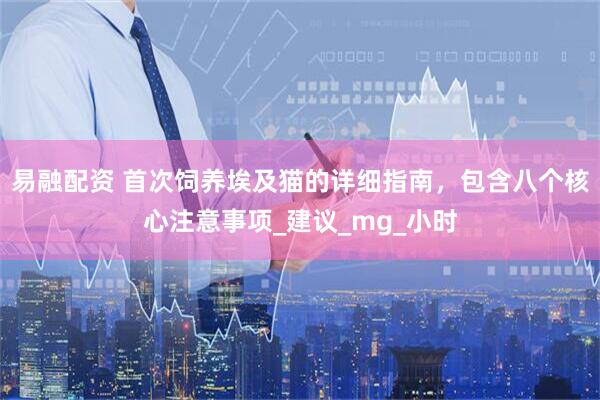 易融配资 首次饲养埃及猫的详细指南，包含八个核心注意事项_建议_mg_小时